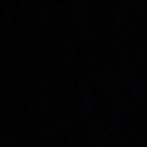 Meet your Posher, Callie